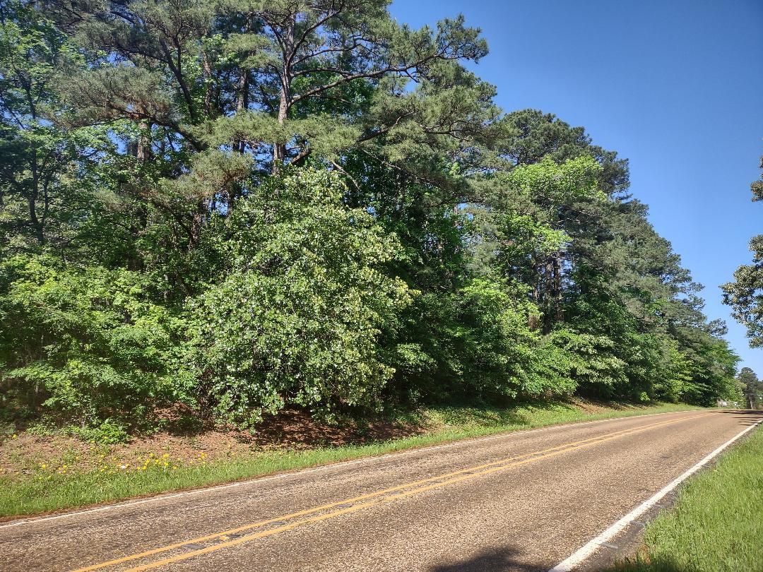 Avinger, Marion County, TX Timberland Property, Undeveloped Land