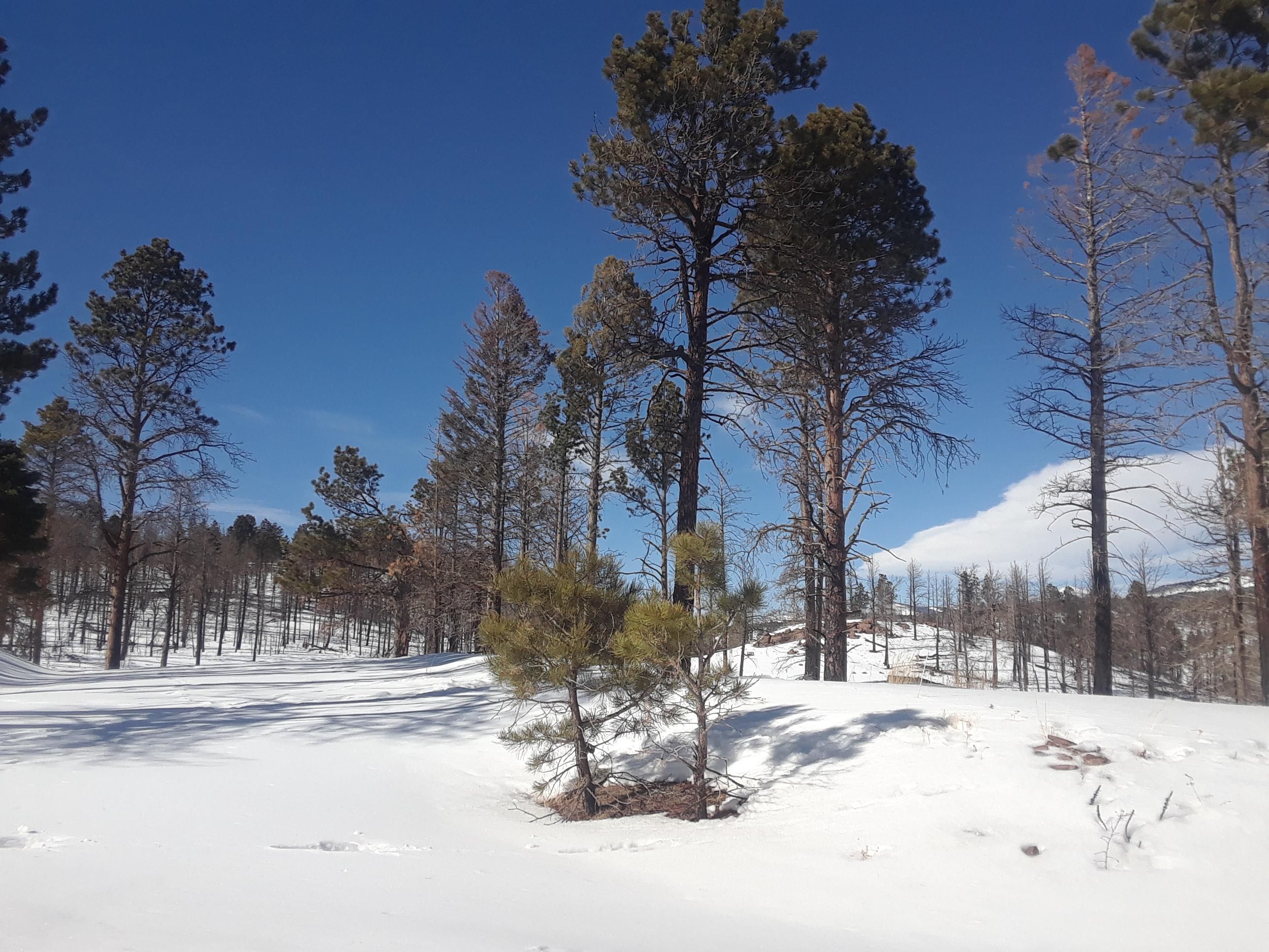Fort Garland, Costilla County, CO Recreational Property, Undeveloped