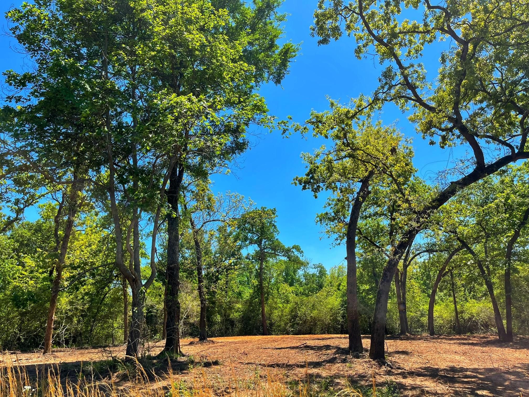 Buffalo, Leon County, TX Recreational Property, Hunting Property for