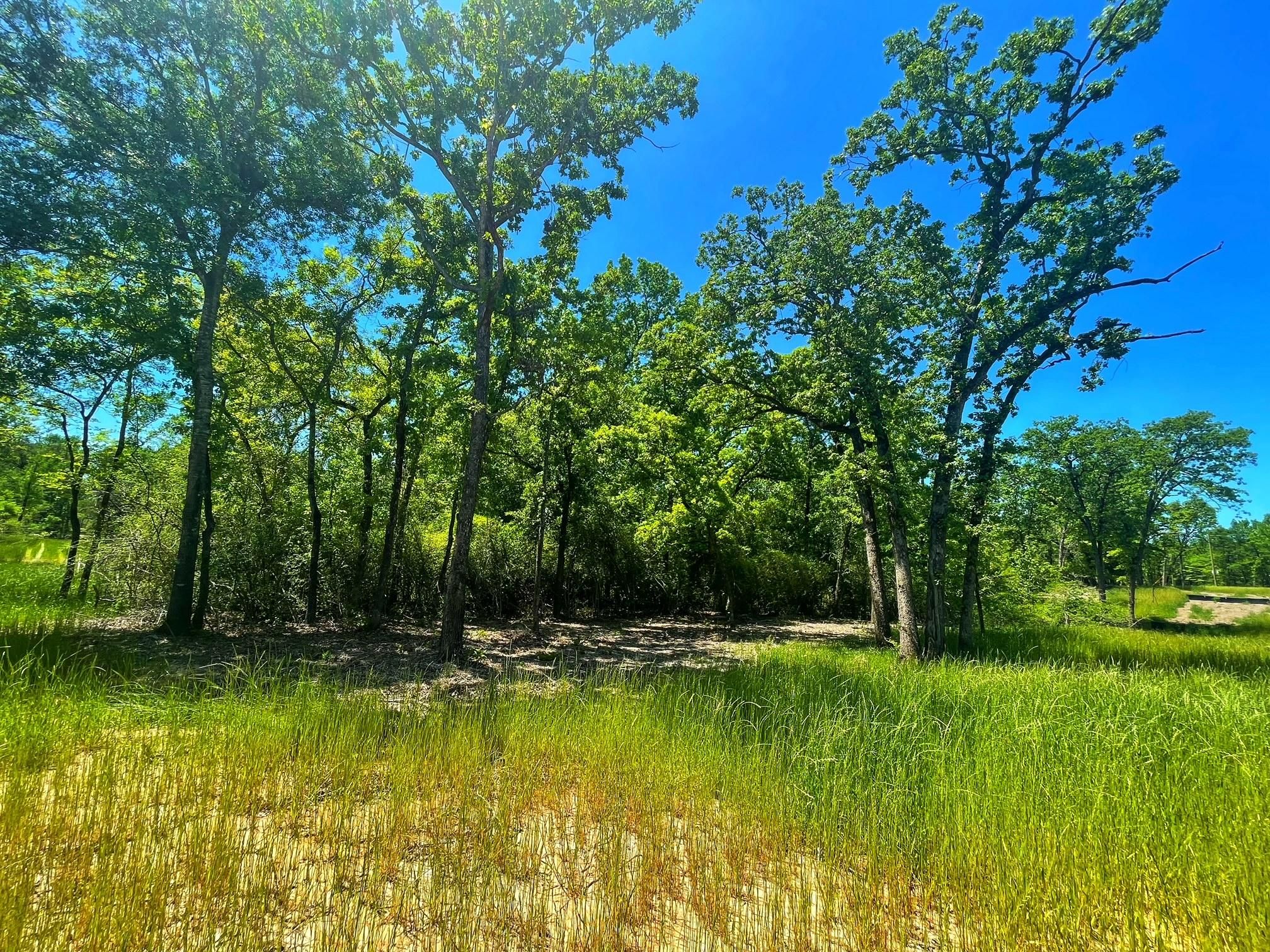 Buffalo, Leon County, TX Recreational Property for sale Property ID