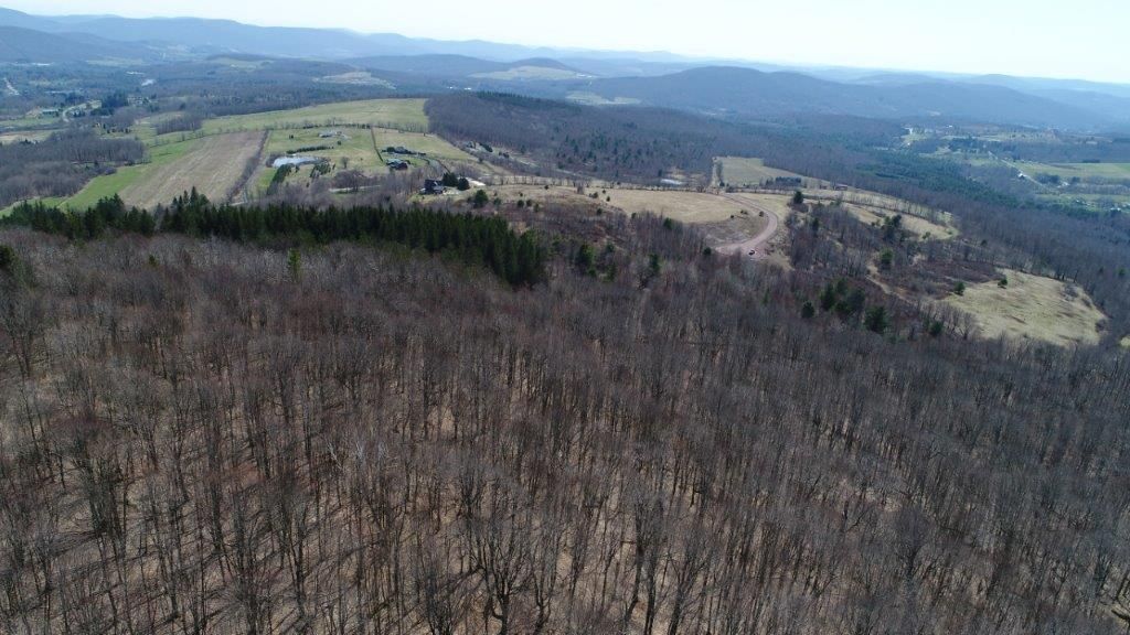 Stamford, Schoharie County, NY Recreational Property for sale Property