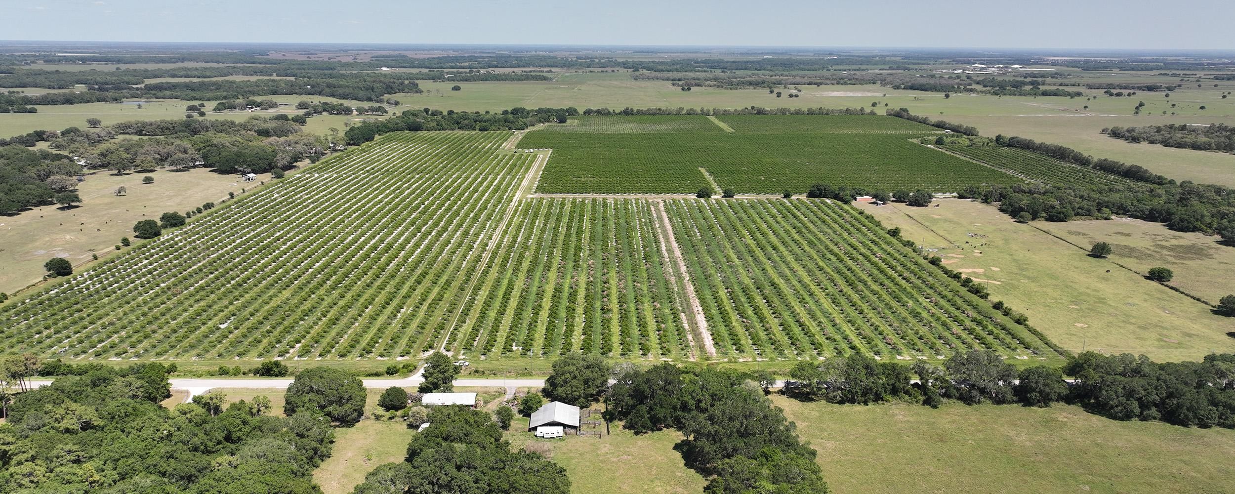 Myakka City, Manatee County, FL Farms and Ranches for sale Property ID