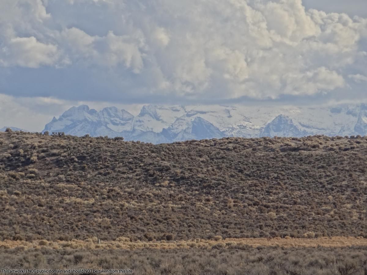 Ryndon, Elko County, NV Farms and Ranches, Hunting Property, Horse