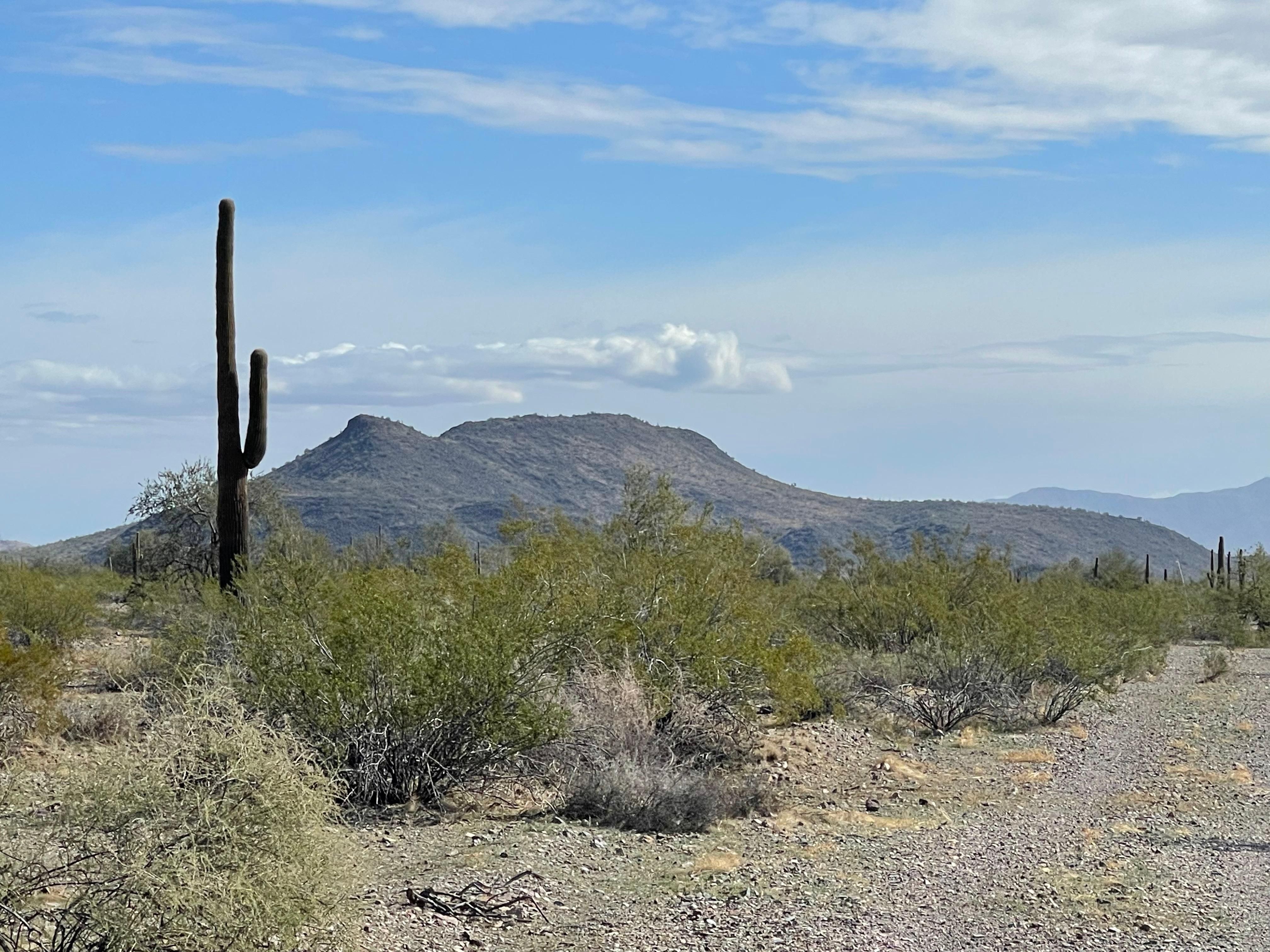 Tonopah, Maricopa County, AZ Recreational Property, Undeveloped Land