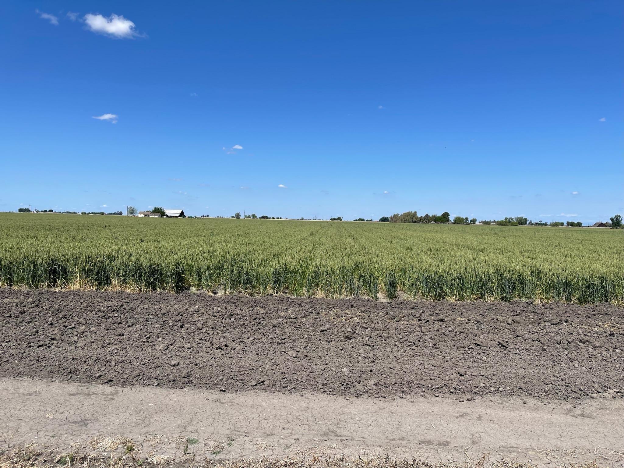 Dos Palos, Merced County, CA Farms and Ranches for sale Property ID