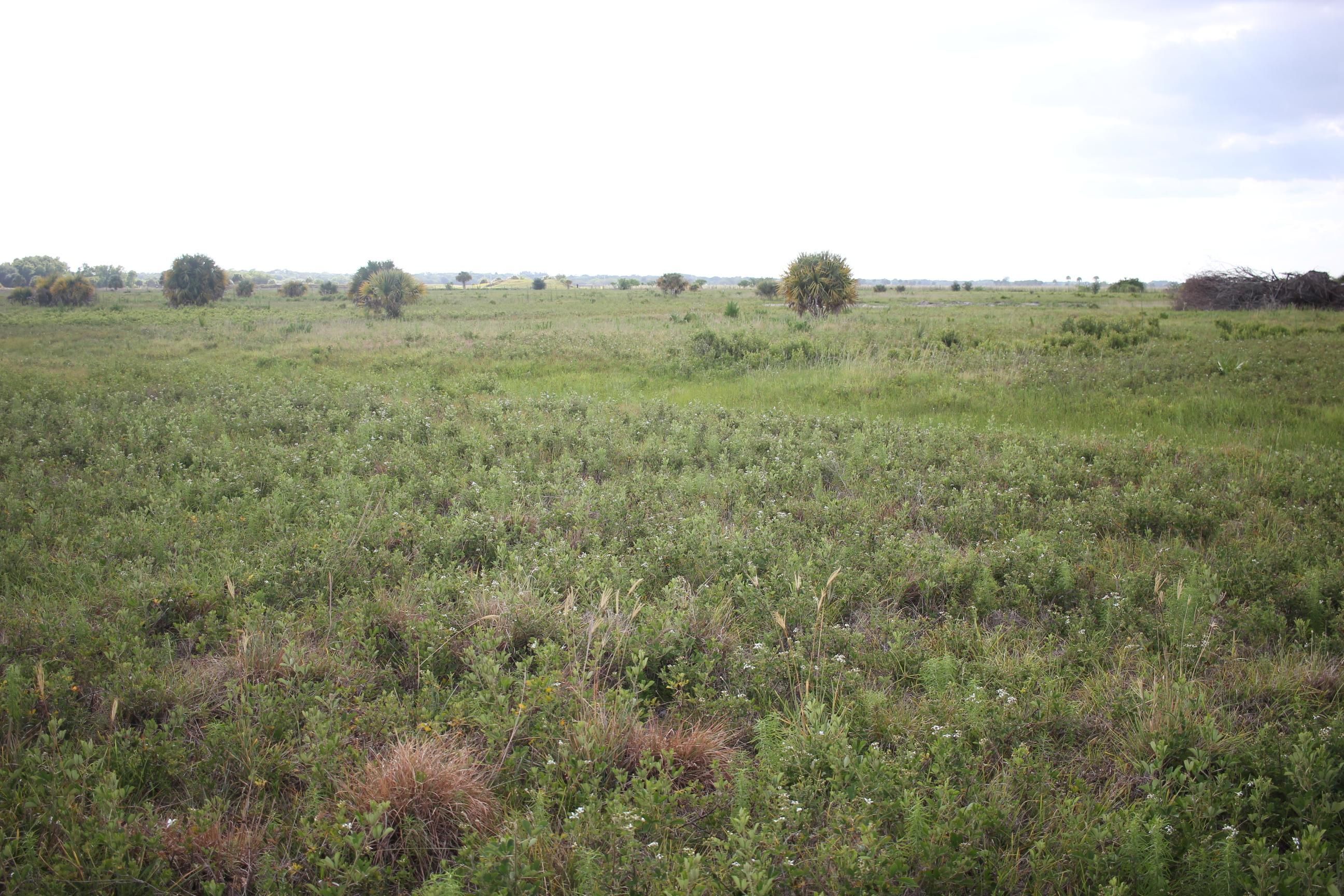 Okeechobee, Okeechobee County, FL Farms and Ranches, Horse Property for