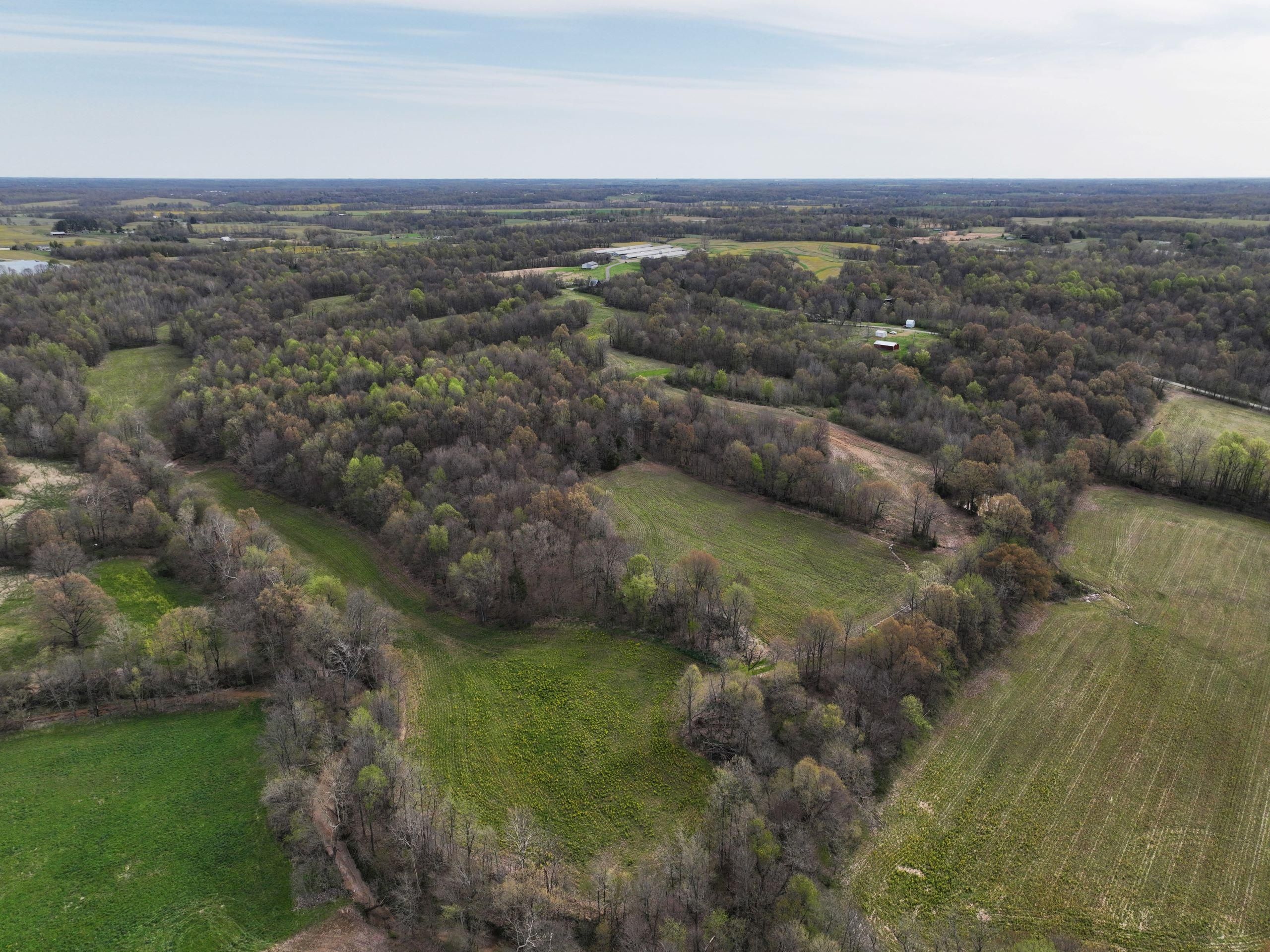 Wingo, Hickman County, KY Farms and Ranches, Recreational Property