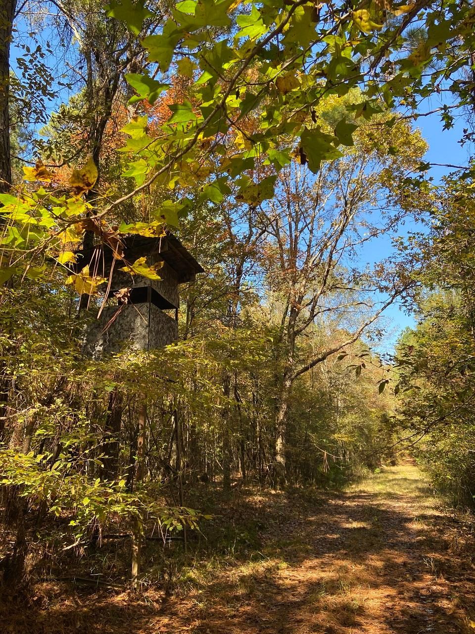 Smackover, Union County, AR Recreational Property, Timberland Property