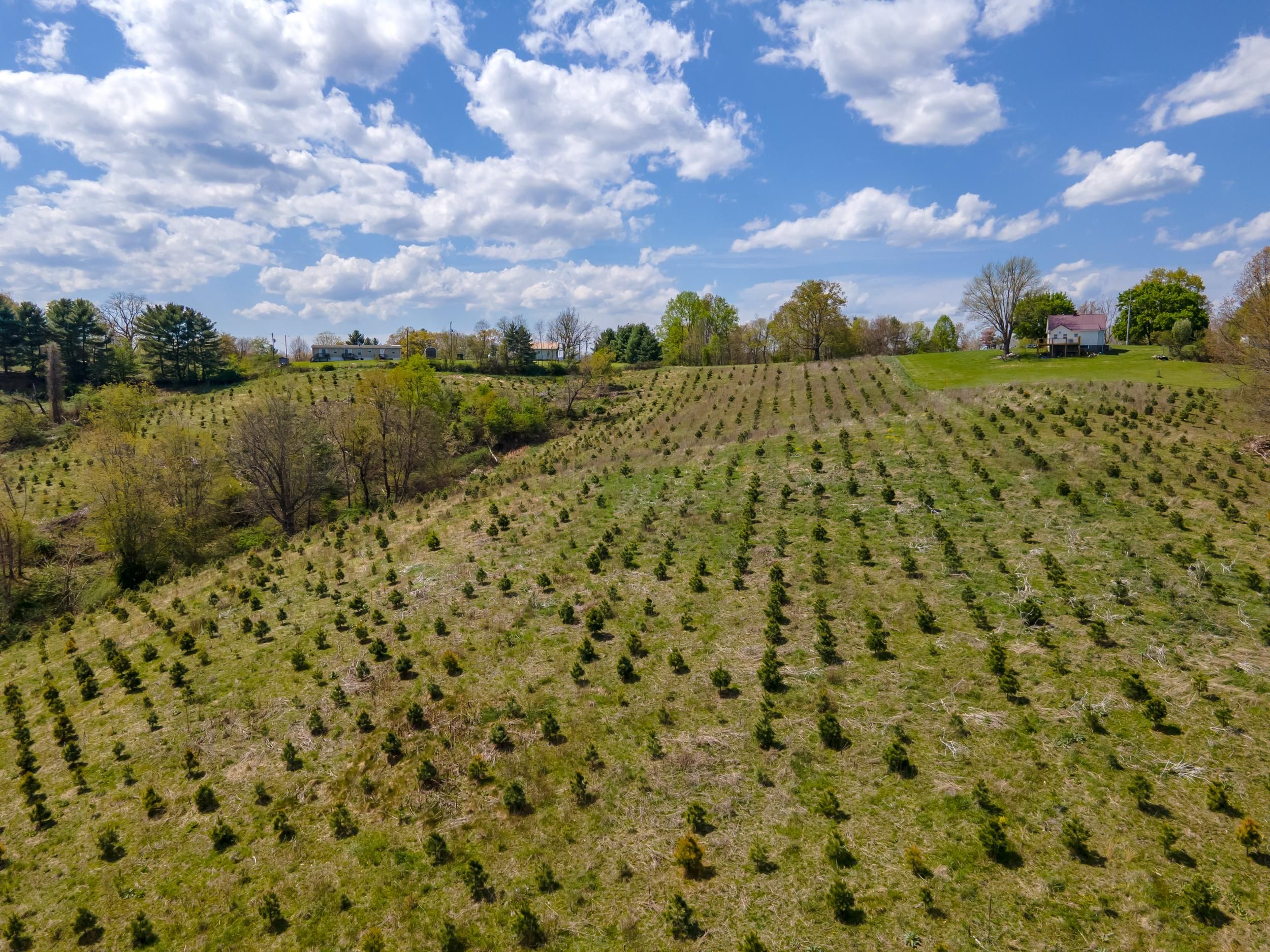 TBD Little Vine Rd, Hillsville, VA 24343 MLS 82469 LandWatch