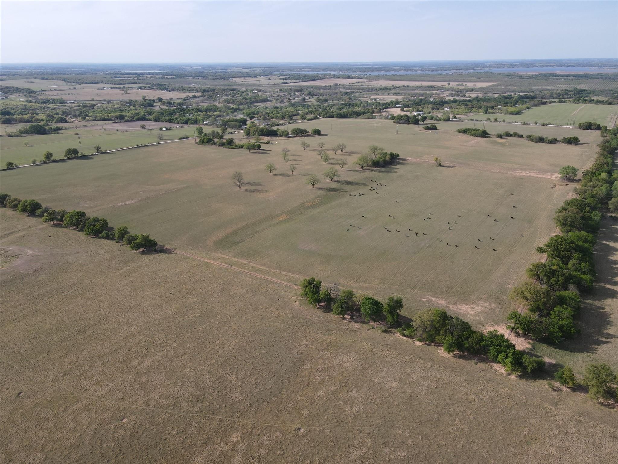 Comanche, Comanche County, TX Farms and Ranches, Horse Property for