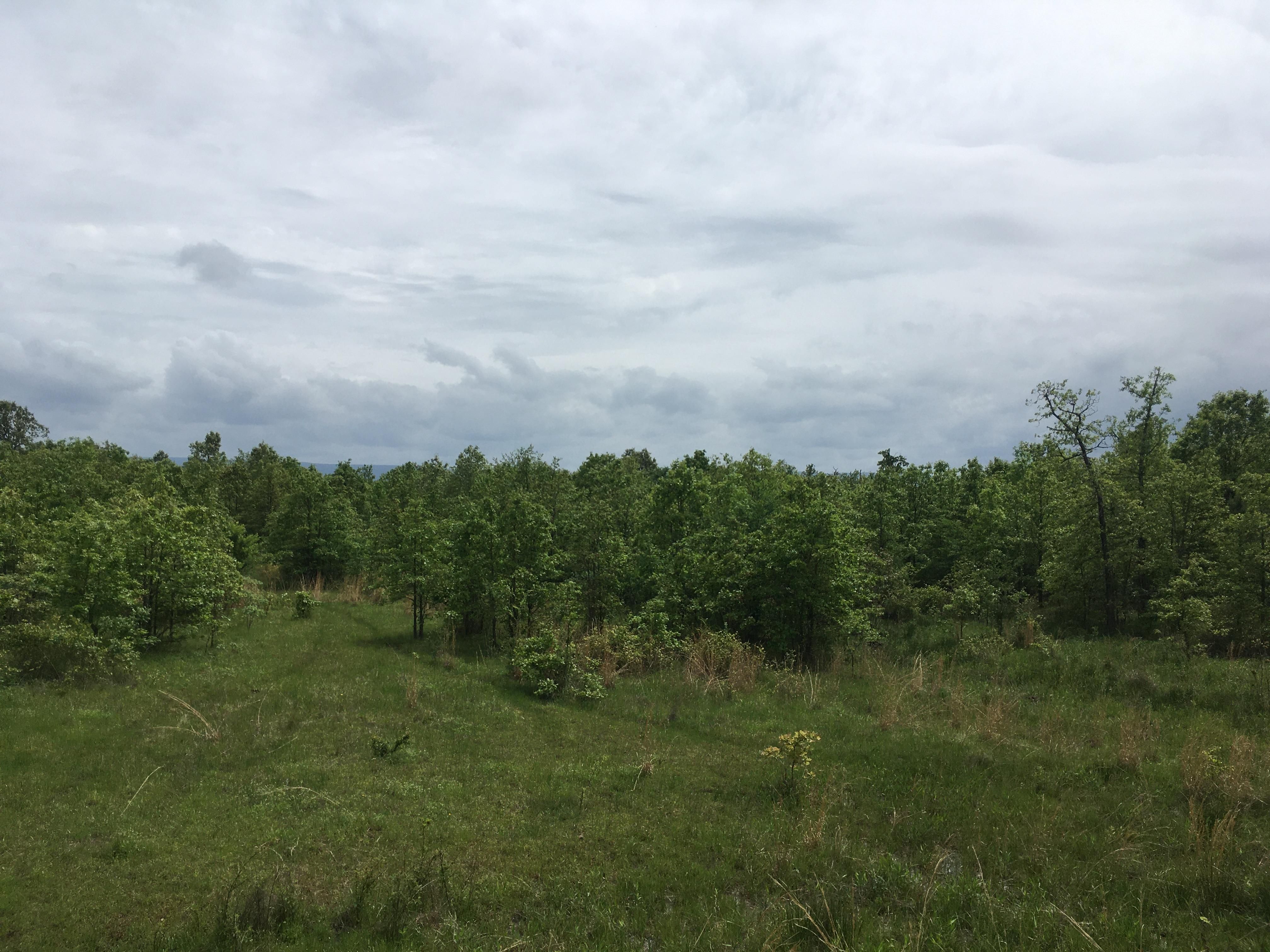 Talihina, Le Flore County, OK Recreational Property, Timberland Property, Hunting Property