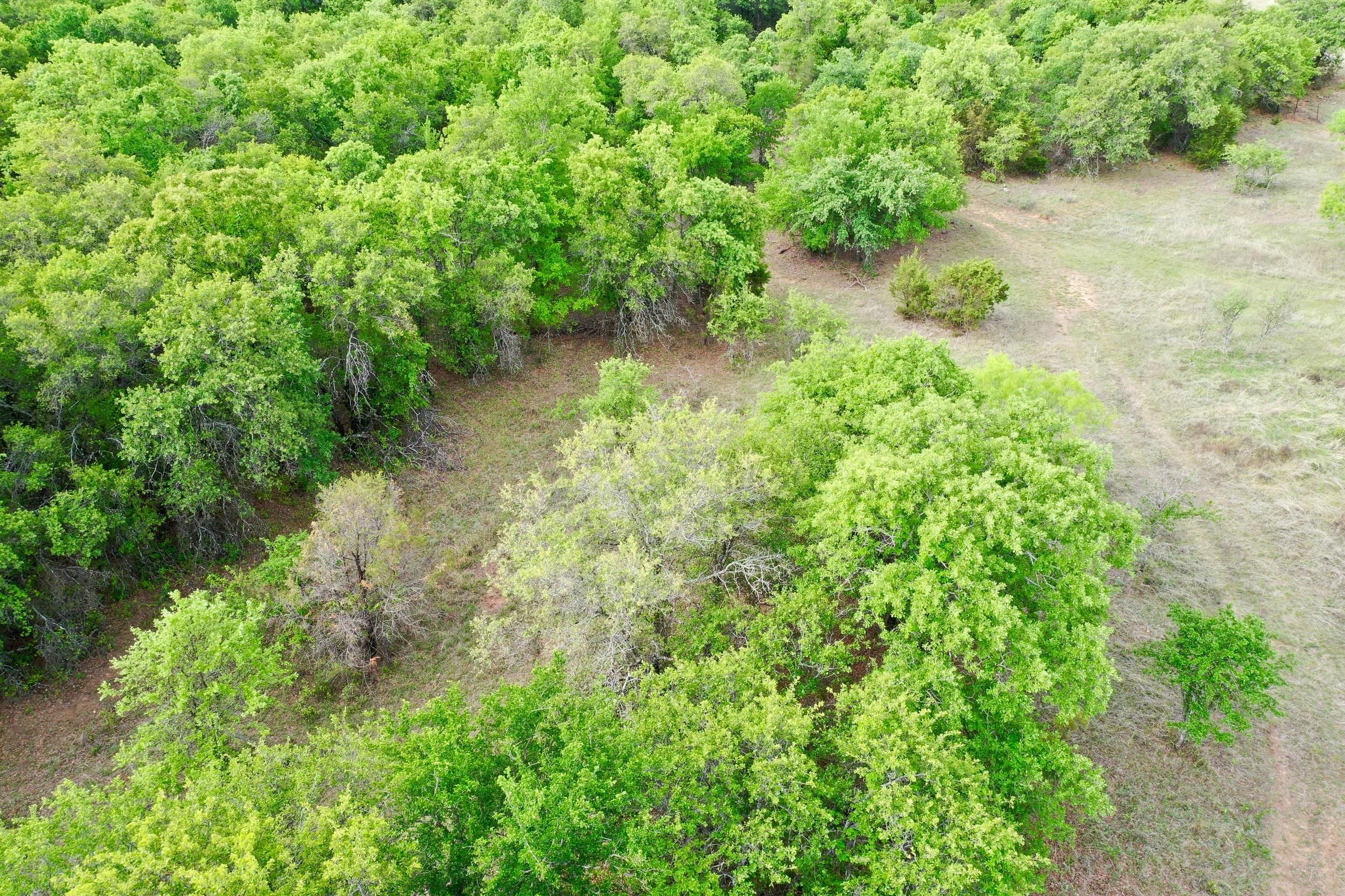 Weatherford, Parker County, TX Farms and Ranches, Hunting Property for sale Property ID
