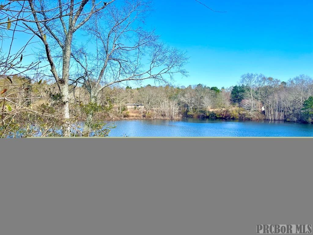 Lumberton, Pearl River County, MS Undeveloped Land, Lakefront Property