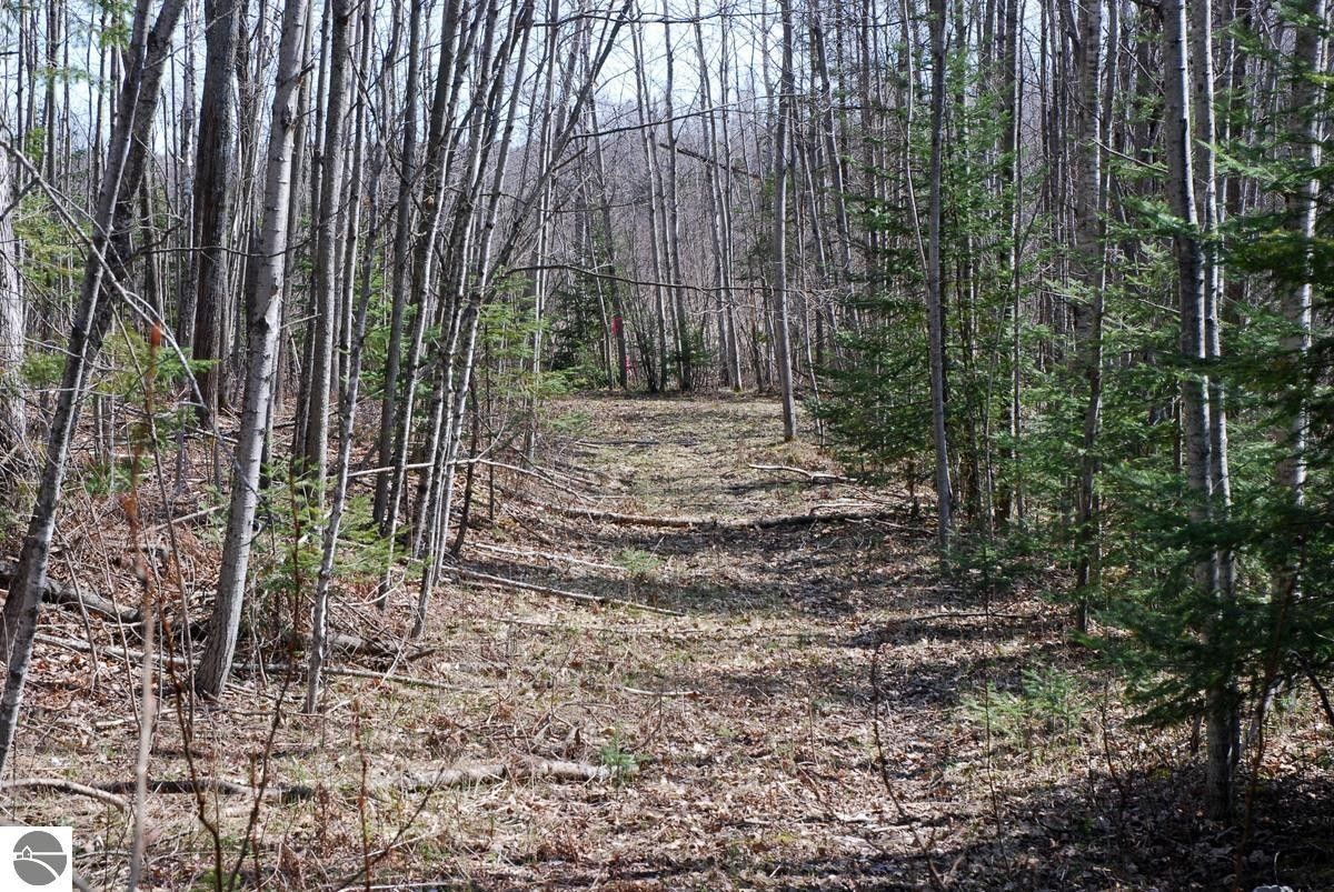 Hale, Ogemaw County, MI Undeveloped Land, Lakefront Property