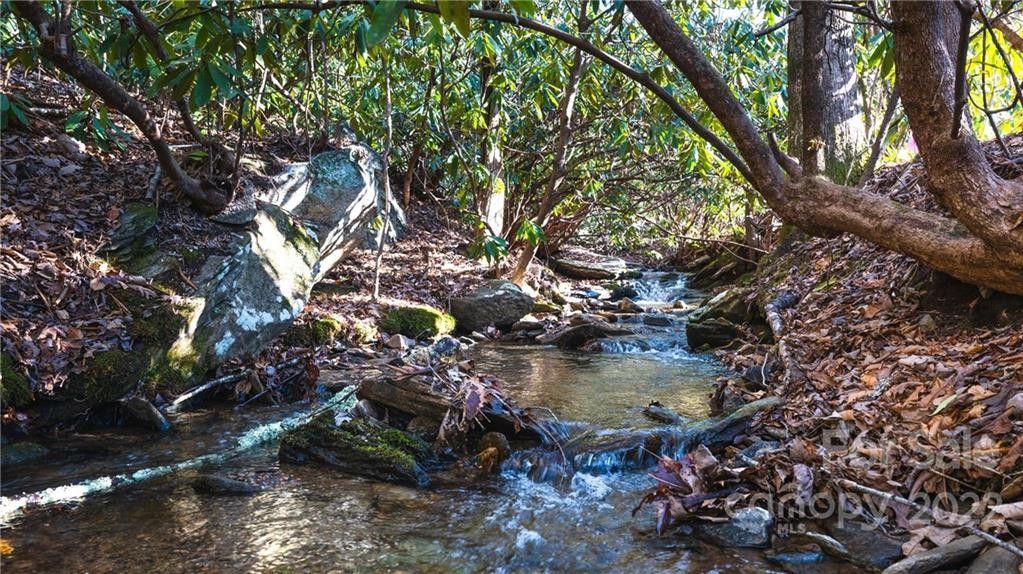 Black Mountain, County, NC Farms and Ranches, Homesites for