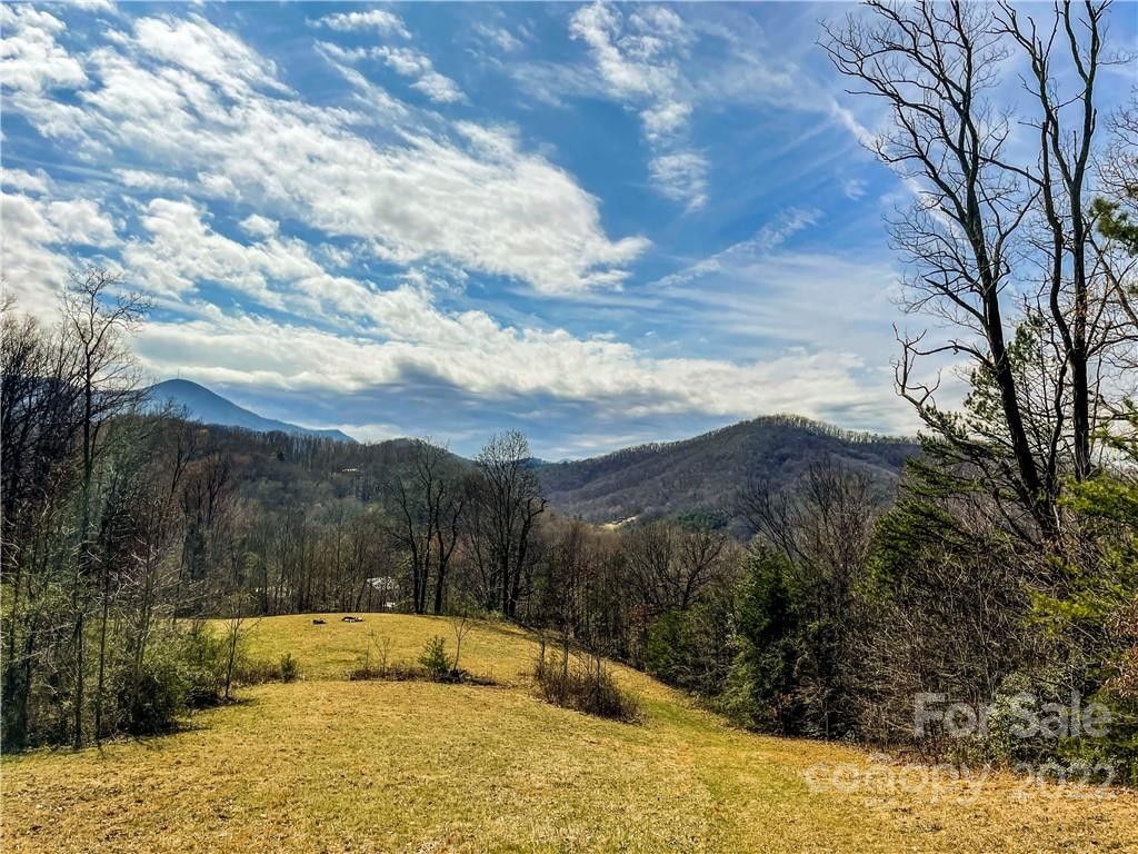 Candler, County, NC Undeveloped Land, Homesites for sale