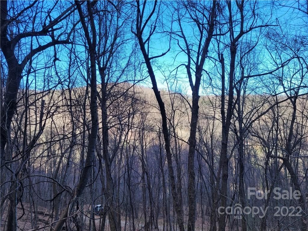 Hendersonville, Henderson County, NC Undeveloped Land, Homesites for sale Property ID 412970363