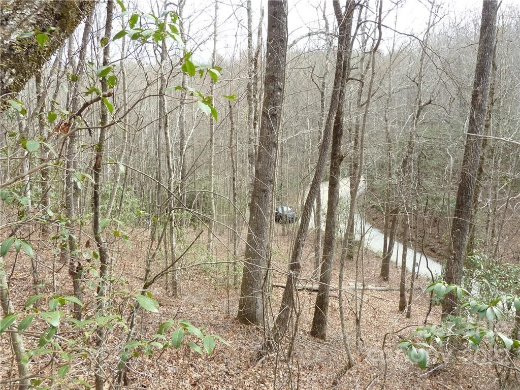 Rosman, Transylvania County, NC Undeveloped Land for sale Property ID