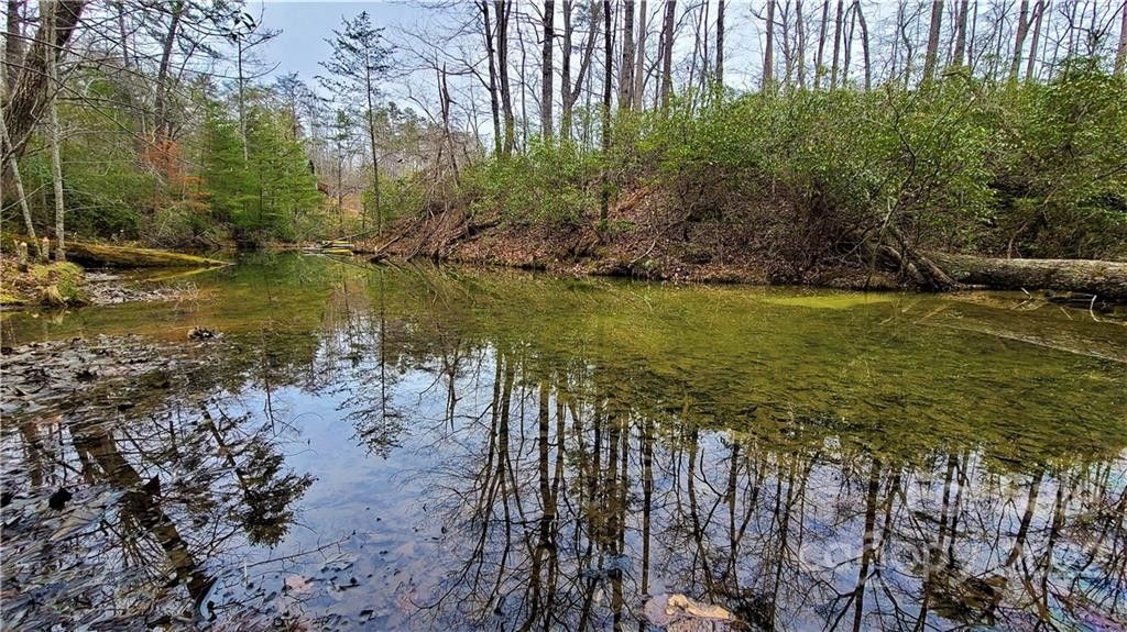 Lake Lure, Rutherford County, NC Undeveloped Land, Lakefront Property