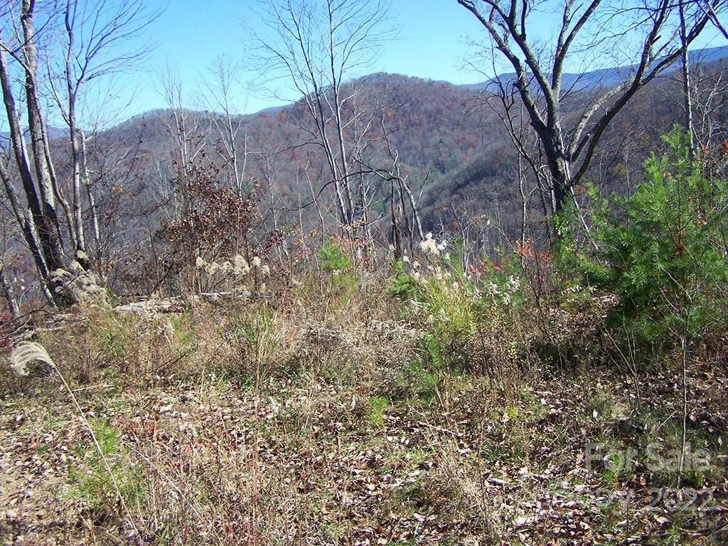 Barnardsville, County, NC Undeveloped Land for sale Property
