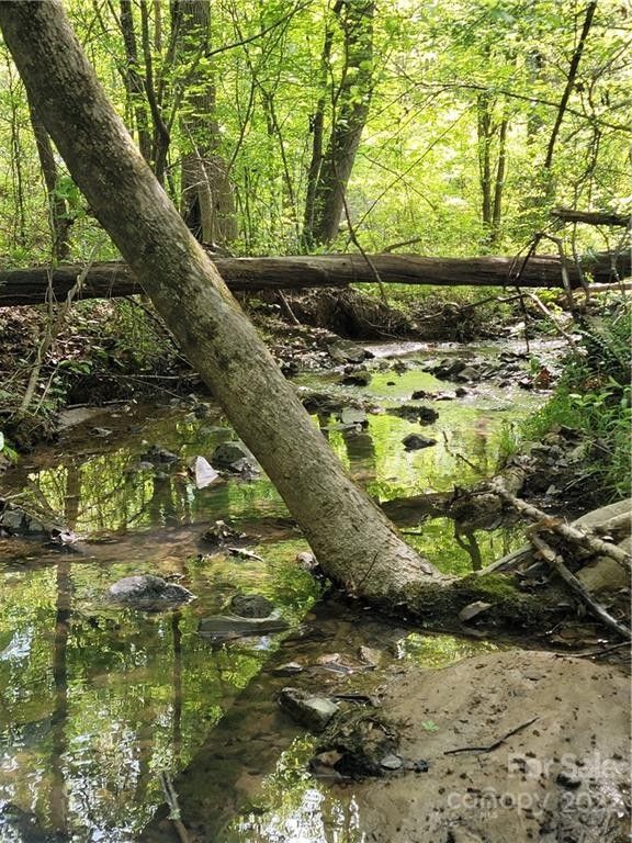 Candor, Montgomery County, NC Undeveloped Land, Lakefront Property