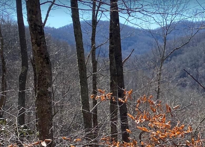 Robbinsville, Graham County, NC Recreational Property, Timberland