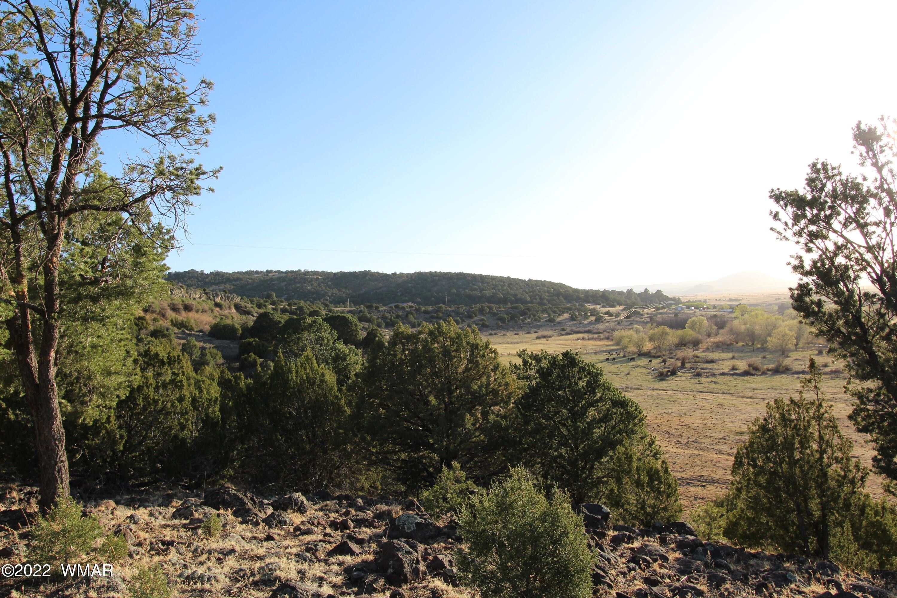 Eagar, Apache County, AZ Undeveloped Land, Homesites for sale Property