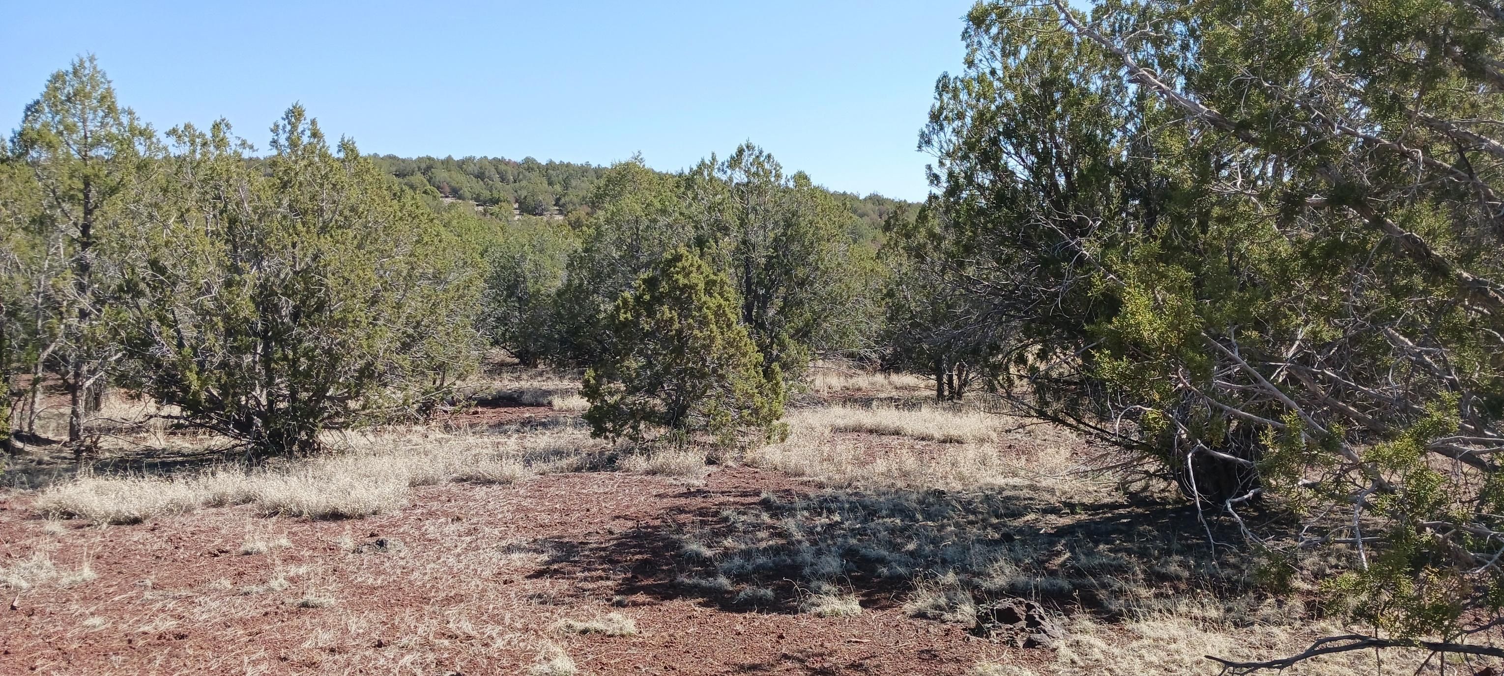Ash Fork, Coconino County, AZ Recreational Property, Undeveloped Land
