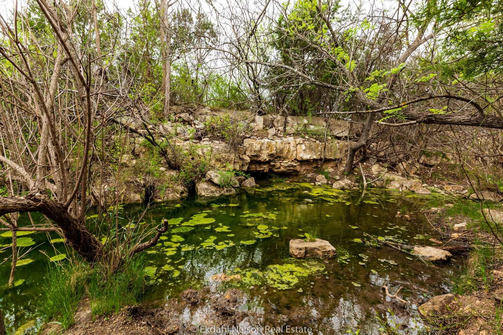 Coronados Camp, Nolan County, TX Farms and Ranches, Recreational