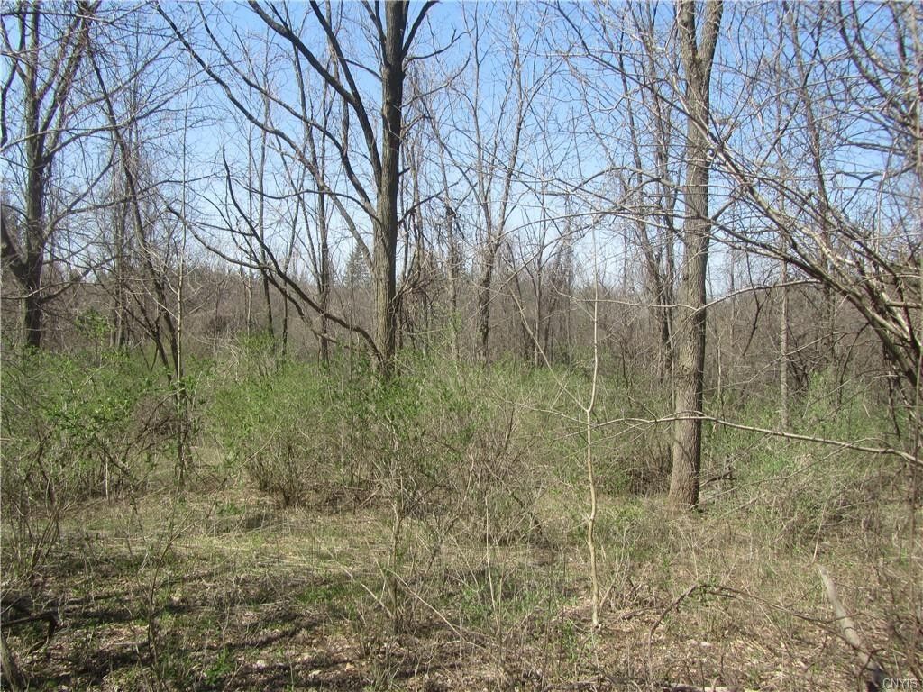 Jamesville, Onondaga County, NY Undeveloped Land, Homesites for sale Property ID 413425544