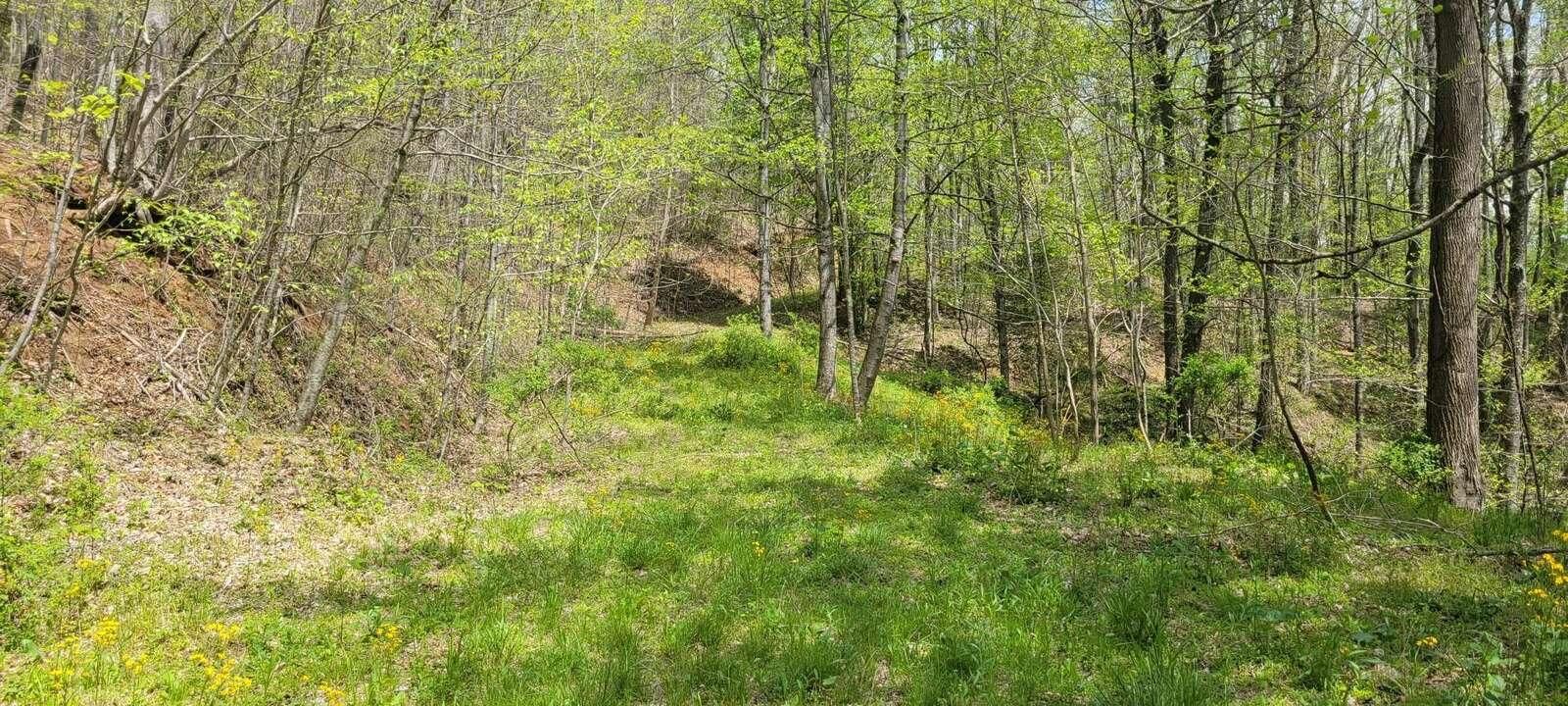 Mountain City, Johnson County, TN Undeveloped Land, Homesites for sale