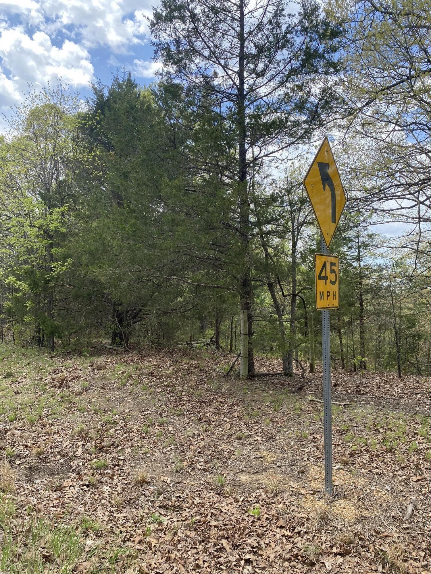 Gainesville, Ozark County, MO Undeveloped Land, Lakefront Property