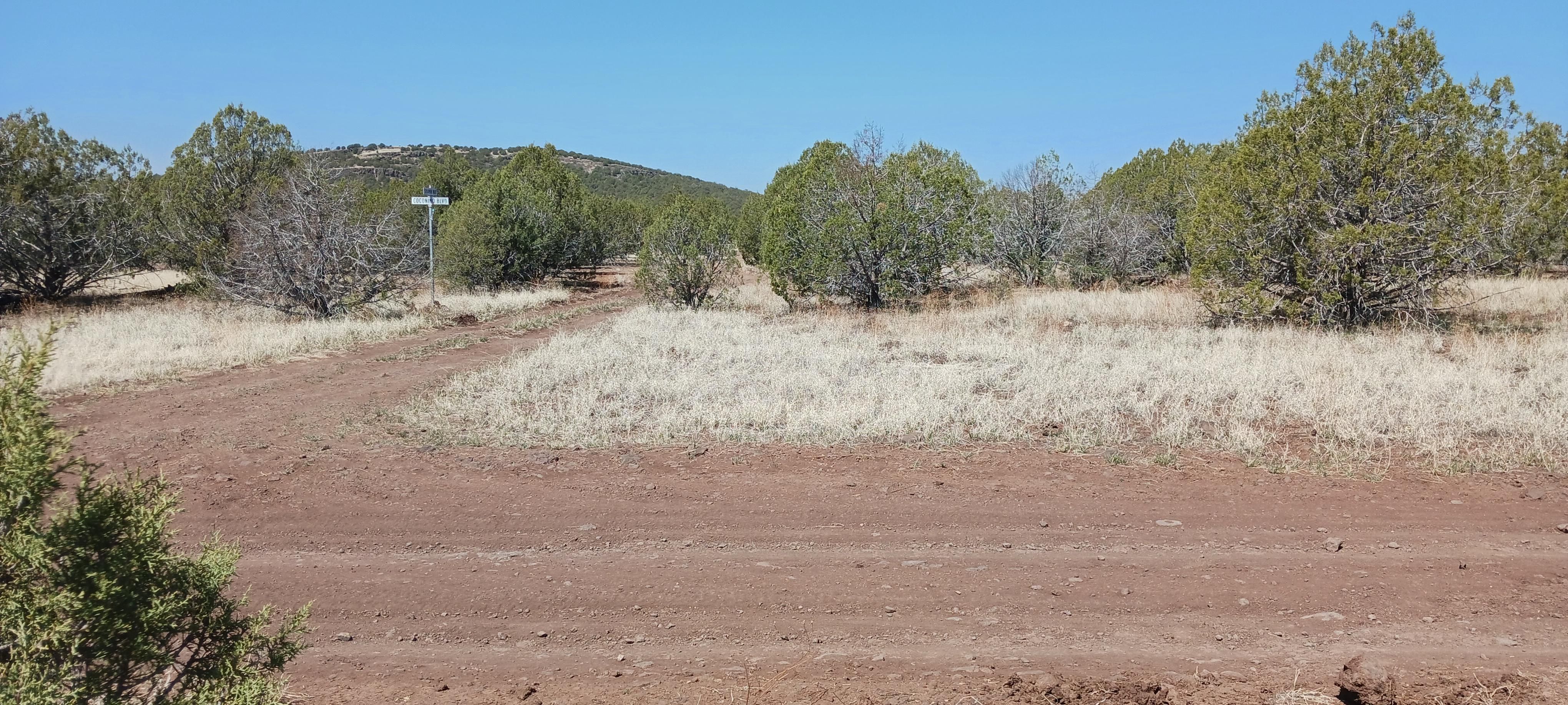 Ash Fork, Coconino County, AZ Recreational Property, Undeveloped Land