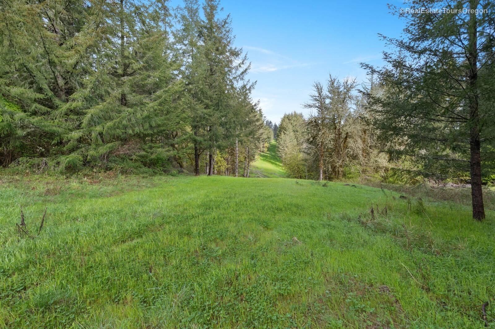 Carlton, Yamhill County, OR Timberland Property, Undeveloped Land for
