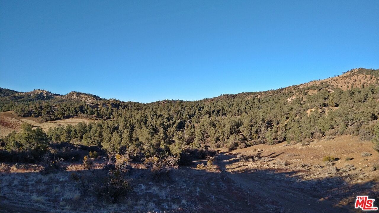 Frazier Park, Ventura County, CA Undeveloped Land, Homesites for sale Property ID 413430284