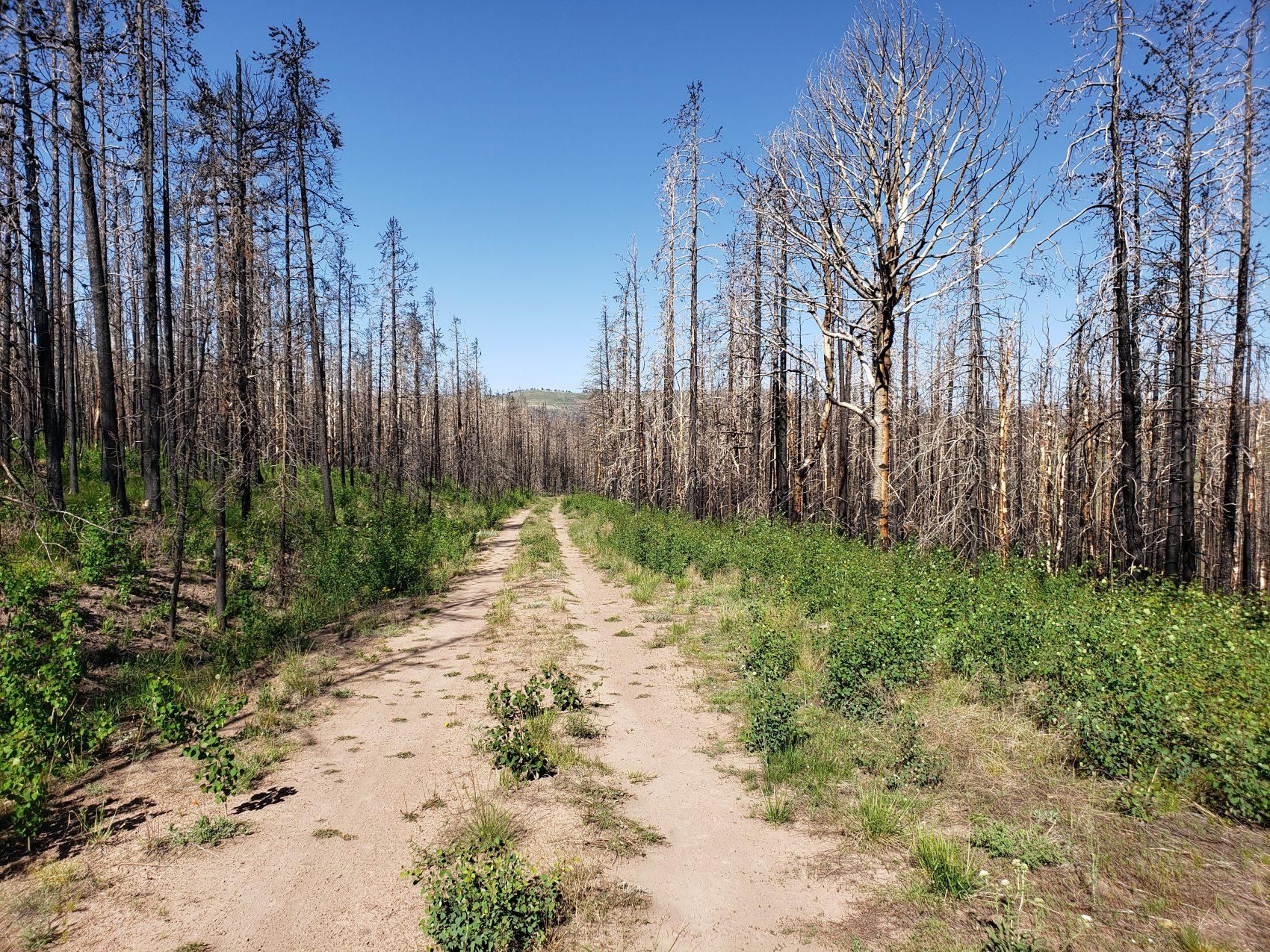 Fort Garland, Costilla County, CO Recreational Property, Hunting