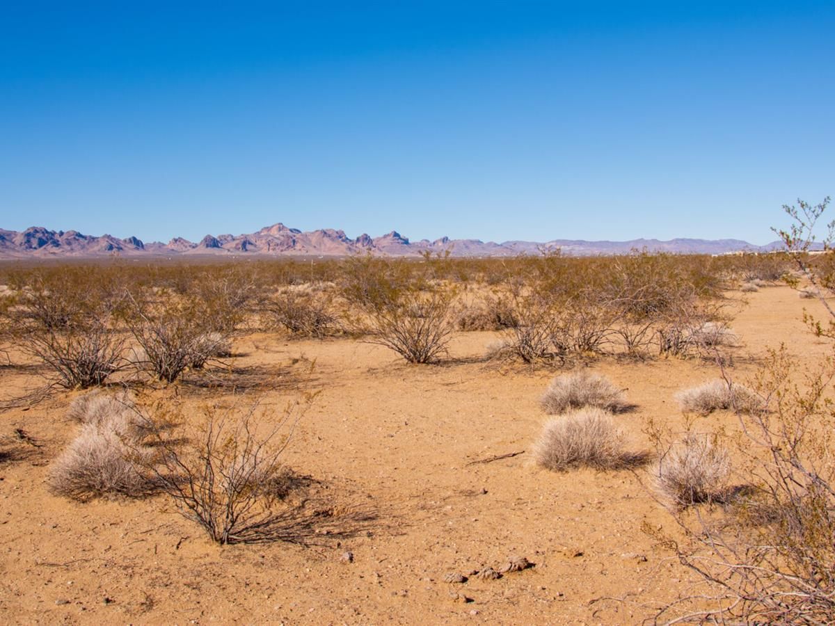 Hackberry, Mohave County, AZ Recreational Property, Hunting Property, Homesites for sale