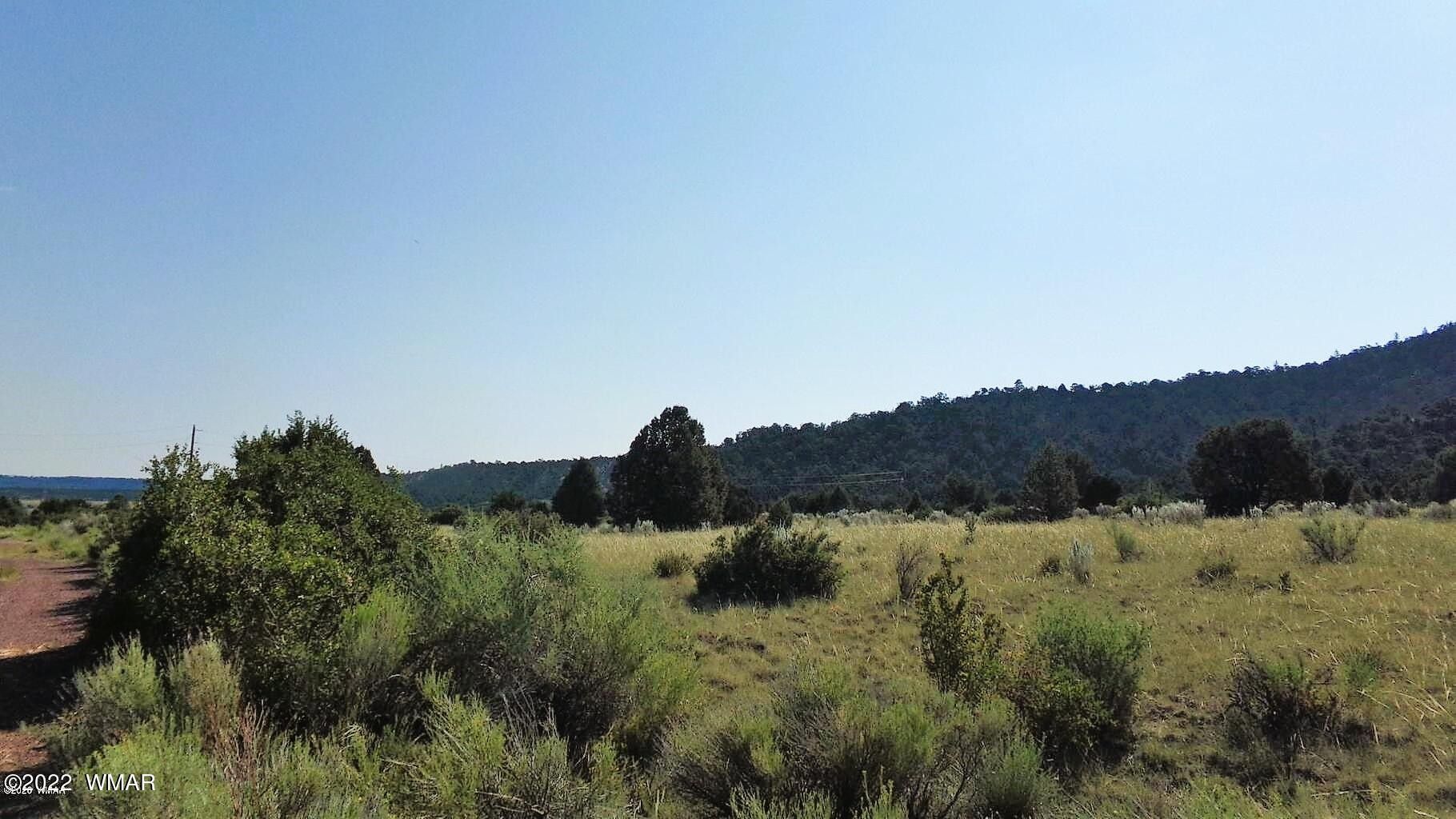 Nutrioso, Apache County, AZ Undeveloped Land, Homesites for sale