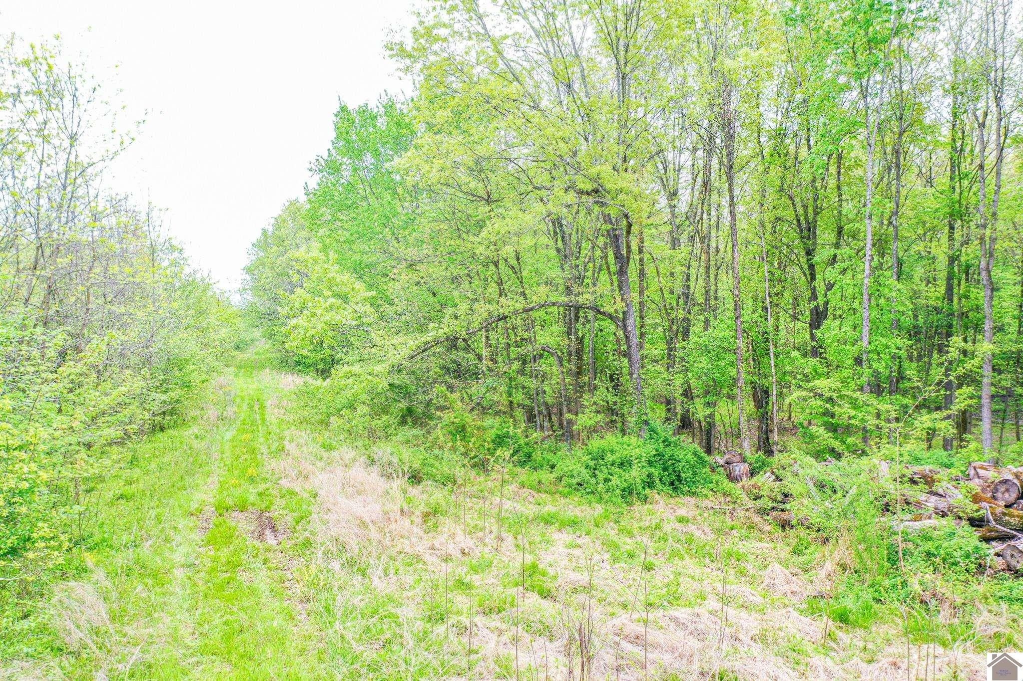Paducah, McCracken County, KY Undeveloped Land for sale Property ID