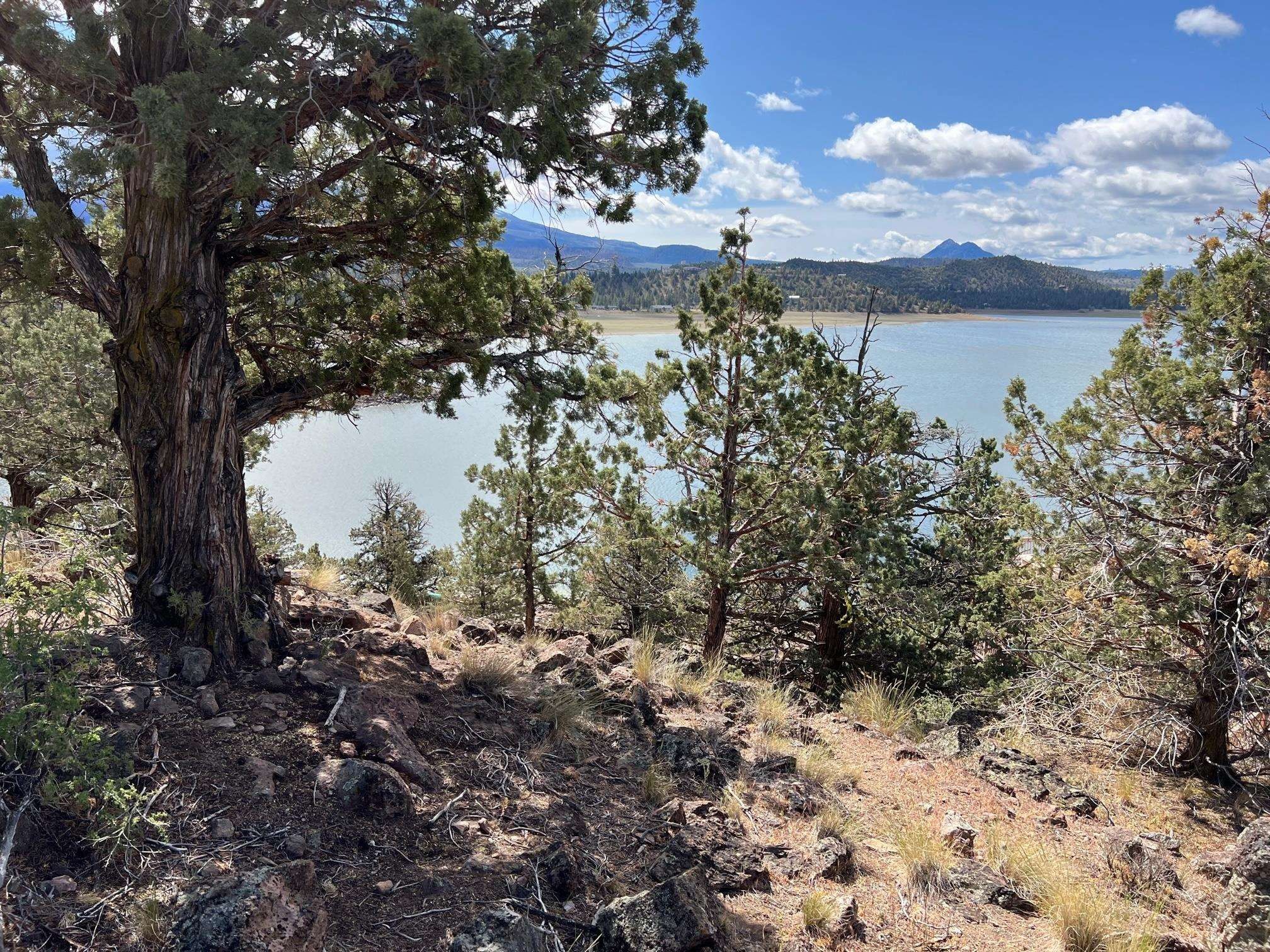 Weed, Siskiyou County, CA Lakefront Property, Waterfront Property