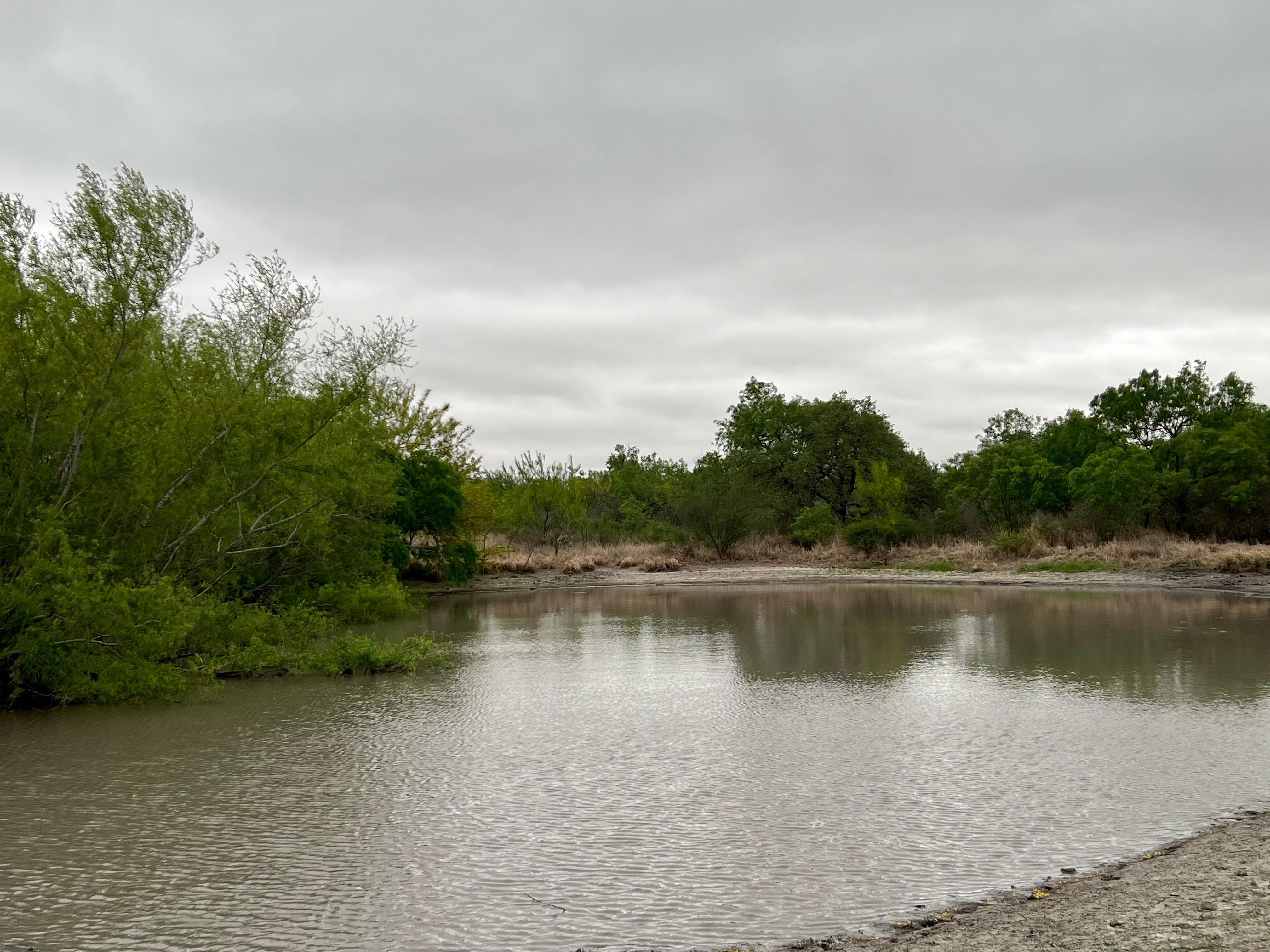 Poth, Wilson County, TX Undeveloped Land, Hunting Property for sale