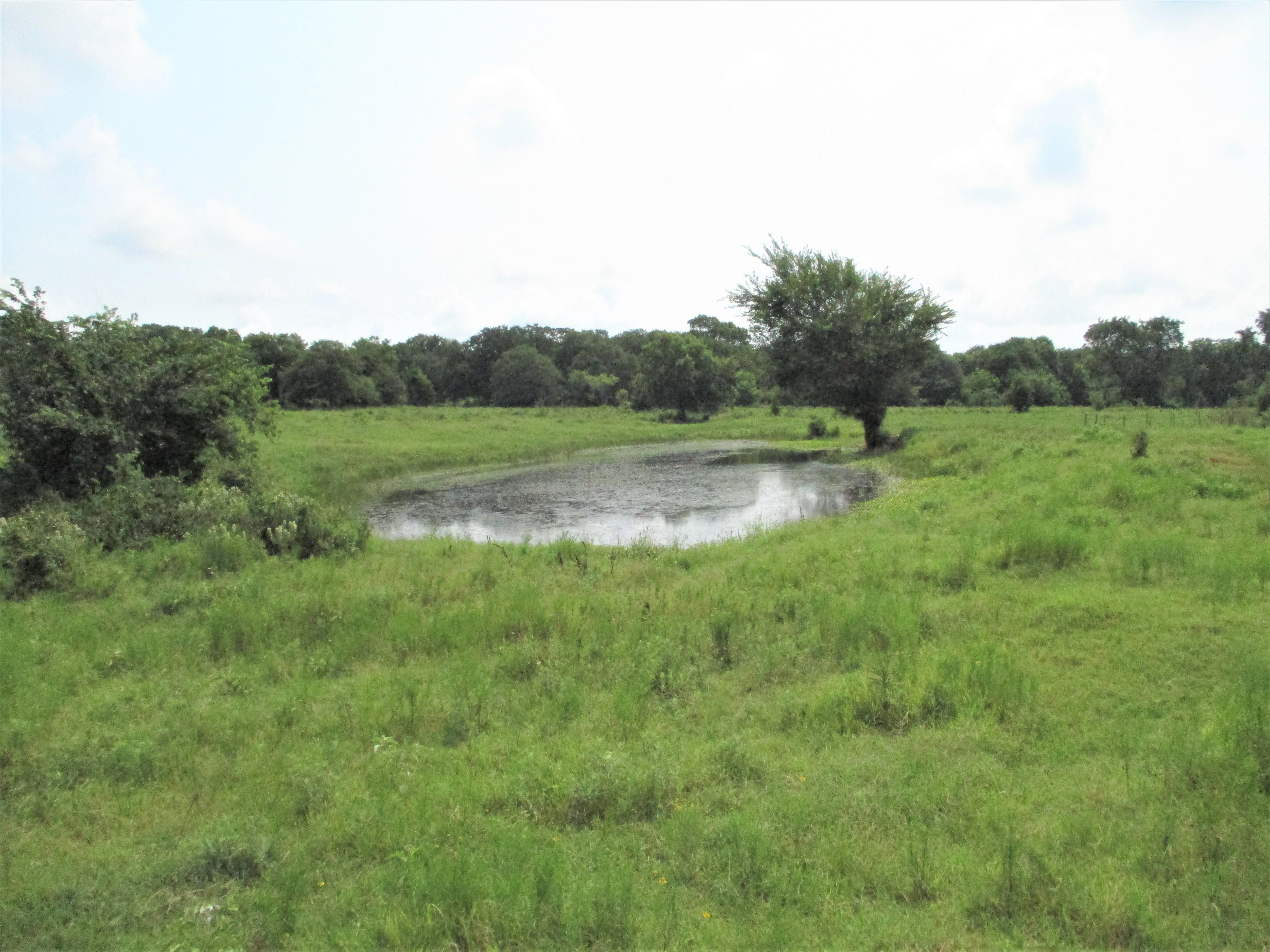 Tr 1 Star Mann, Saint Jo, TX 76265 LandWatch