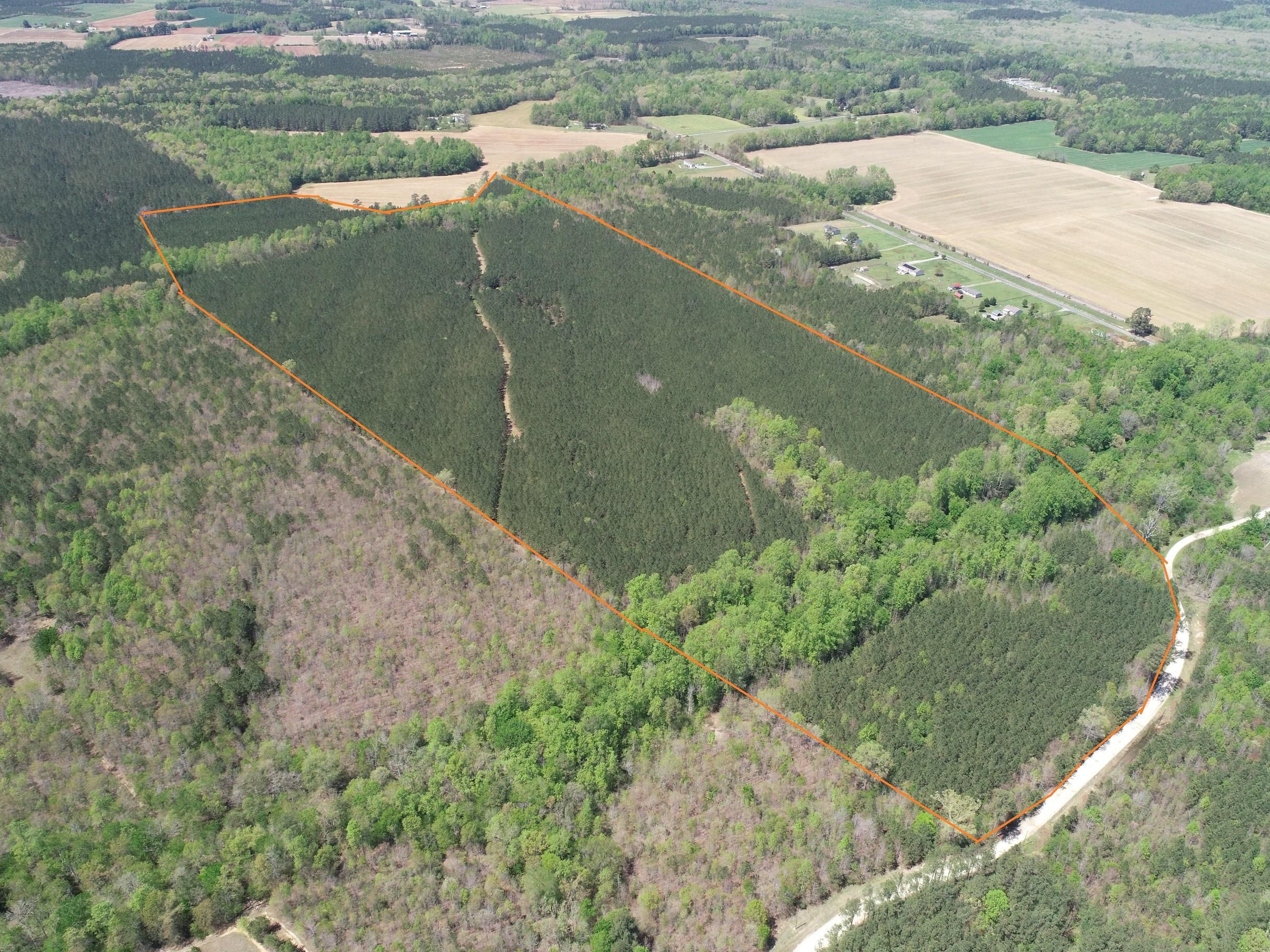 Emporia, Greensville County, VA Recreational Property, Timberland Property, Undeveloped Land for