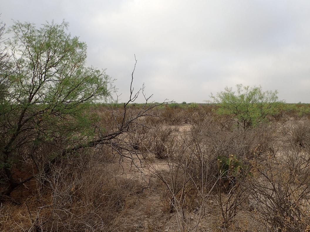 Dryden, Terrell County, TX Farms and Ranches, Recreational Property