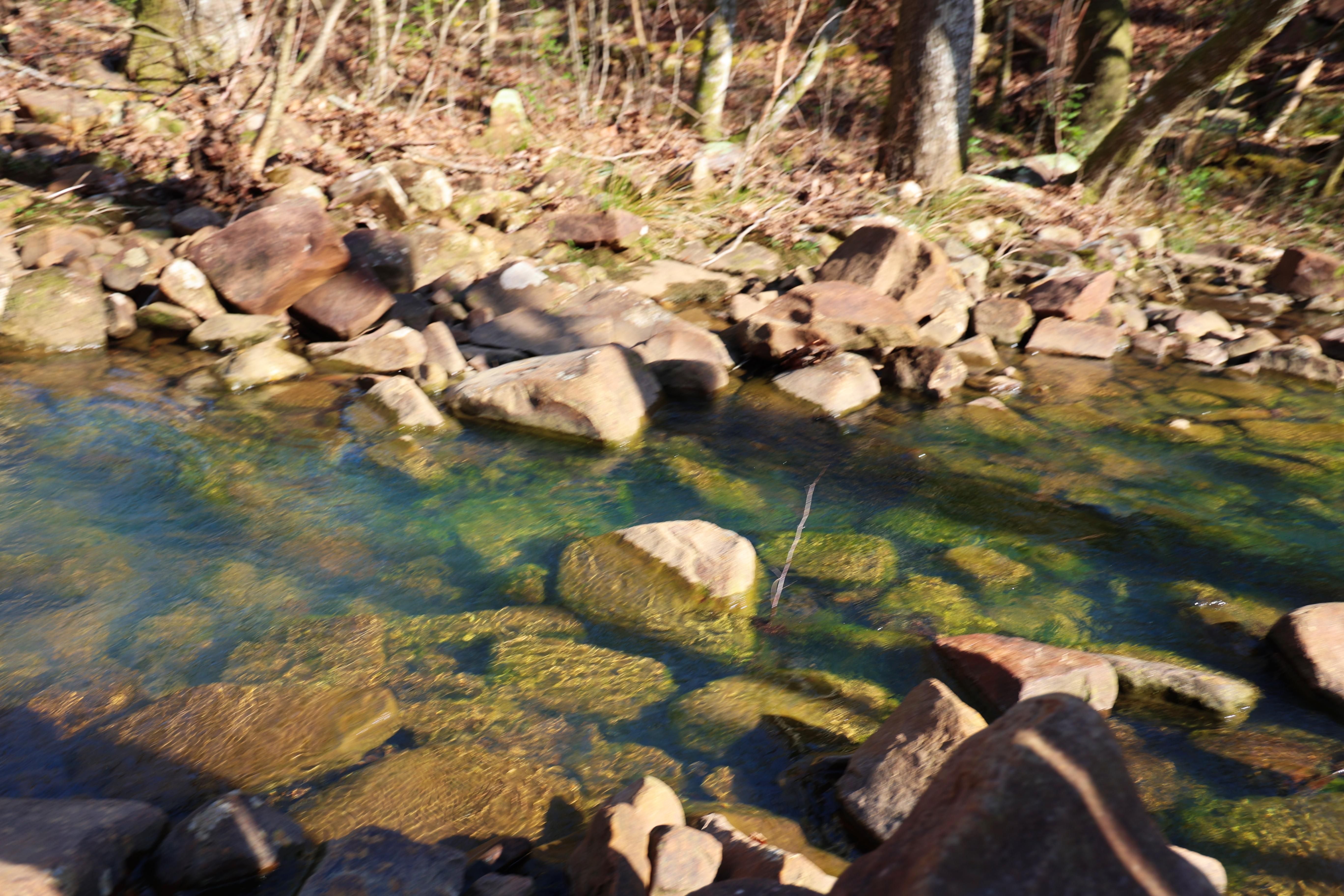 Honobia, Pushmataha County, OK Recreational Property, Undeveloped Land, Hunting Property for