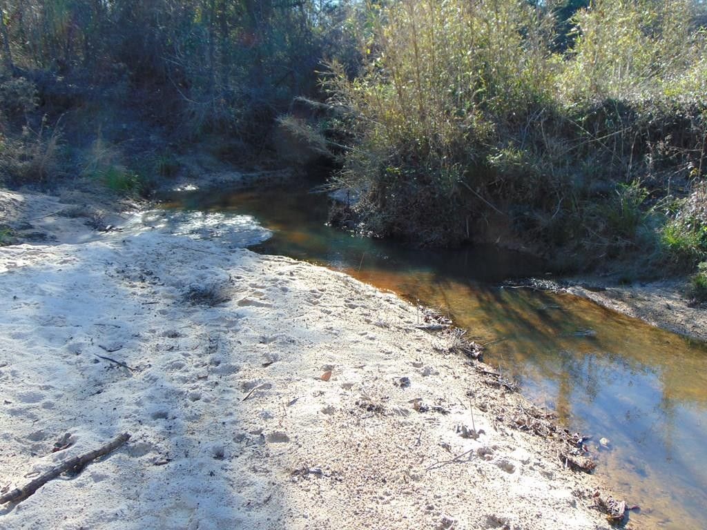 Braxton, Simpson County, MS Undeveloped Land, Lakefront Property