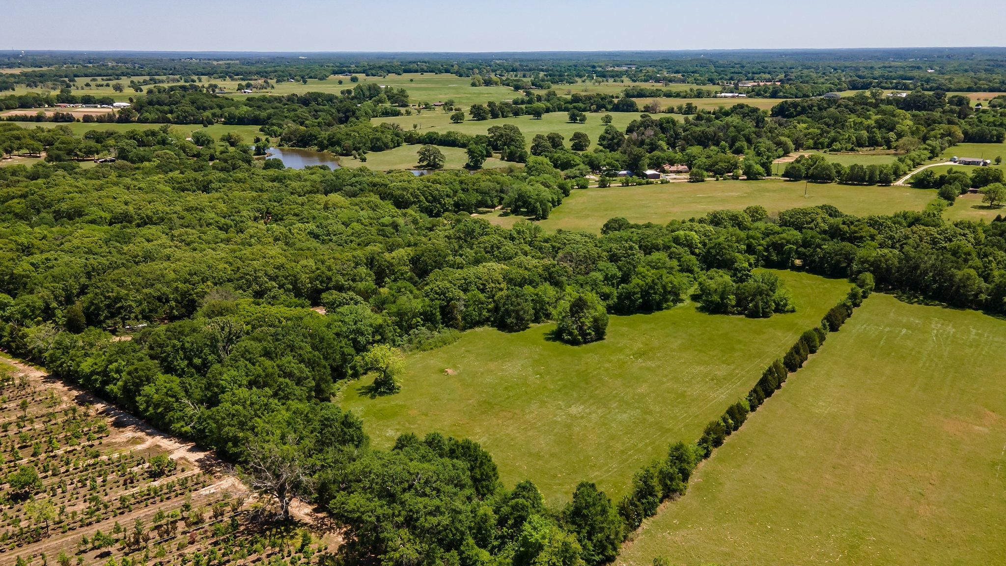 TBD County Road 1116, Fruitvale, TX 75140 MLS 18 Acres Fruitvale