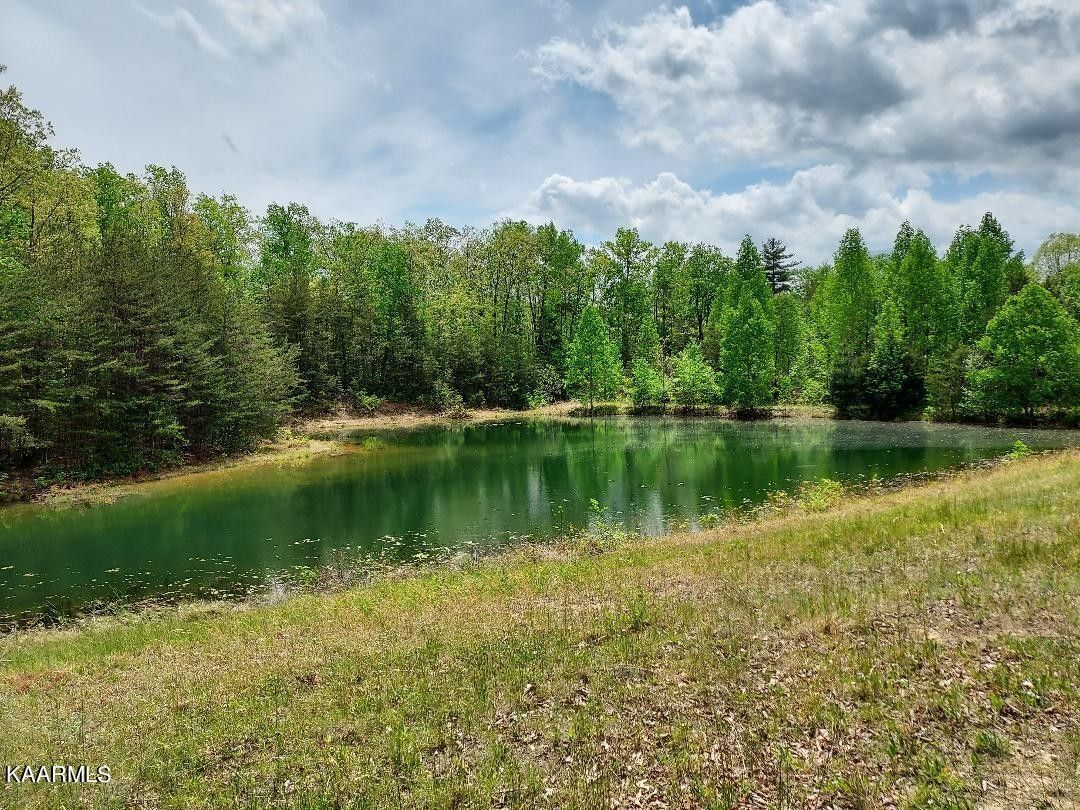 Oneida, Scott County, TN Undeveloped Land for sale Property ID