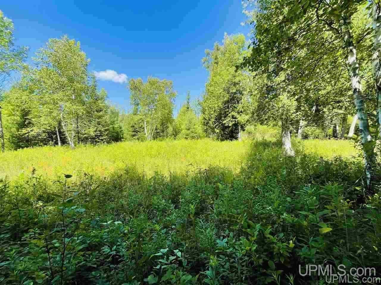 Cedarville, Menominee County, MI Undeveloped Land for sale Property ID