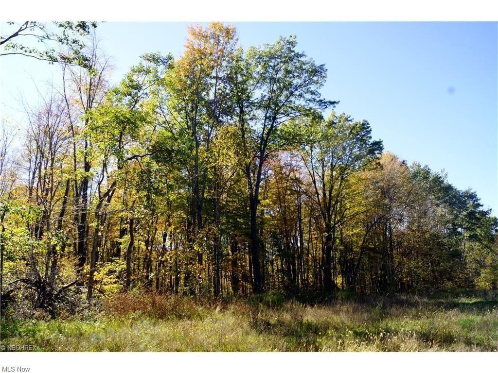 Kensington, Carroll County, OH Undeveloped Land for sale Property ID